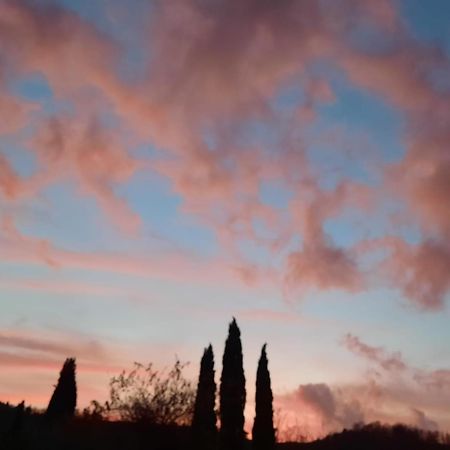 Al Piccolo Ulivo, A Casa Di Mimo&Se Villa Castiglione dʼOrcia Exteriör bild