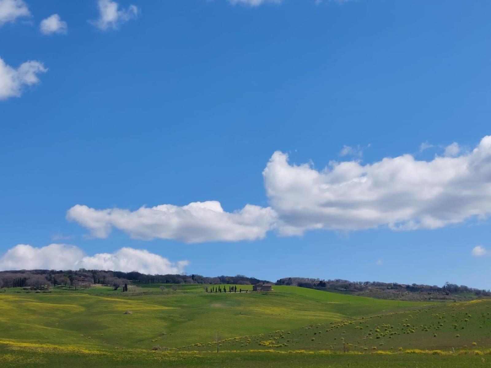 Al Piccolo Ulivo, A Casa Di Mimo&Se Villa Castiglione dʼOrcia Exteriör bild