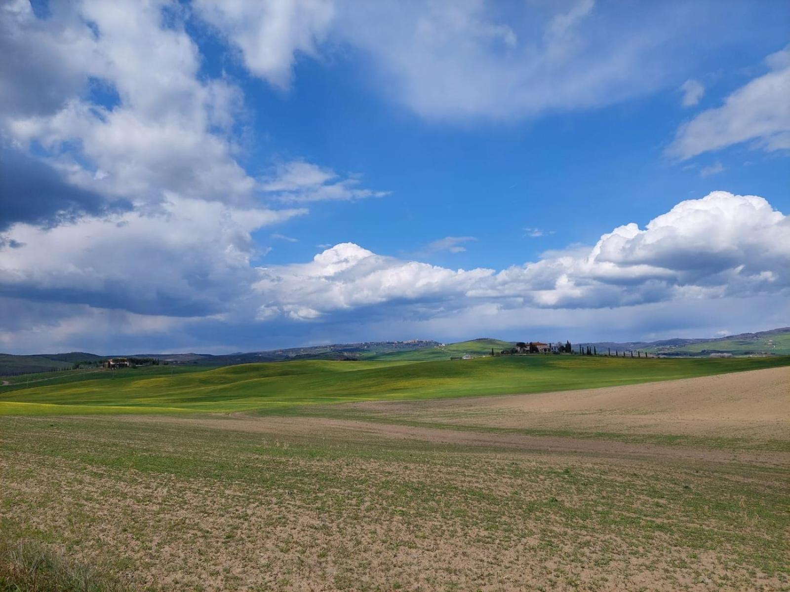 Al Piccolo Ulivo, A Casa Di Mimo&Se Villa Castiglione dʼOrcia Exteriör bild