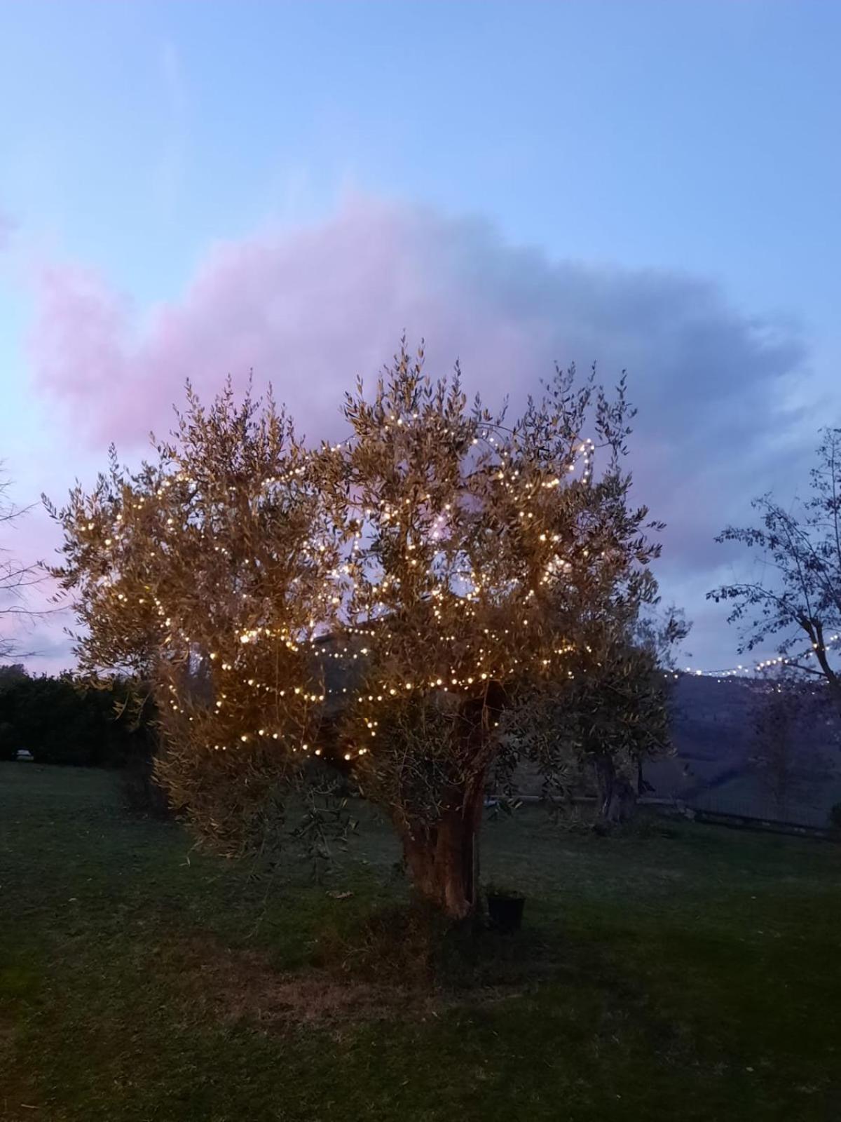 Al Piccolo Ulivo, A Casa Di Mimo&Se Villa Castiglione dʼOrcia Exteriör bild
