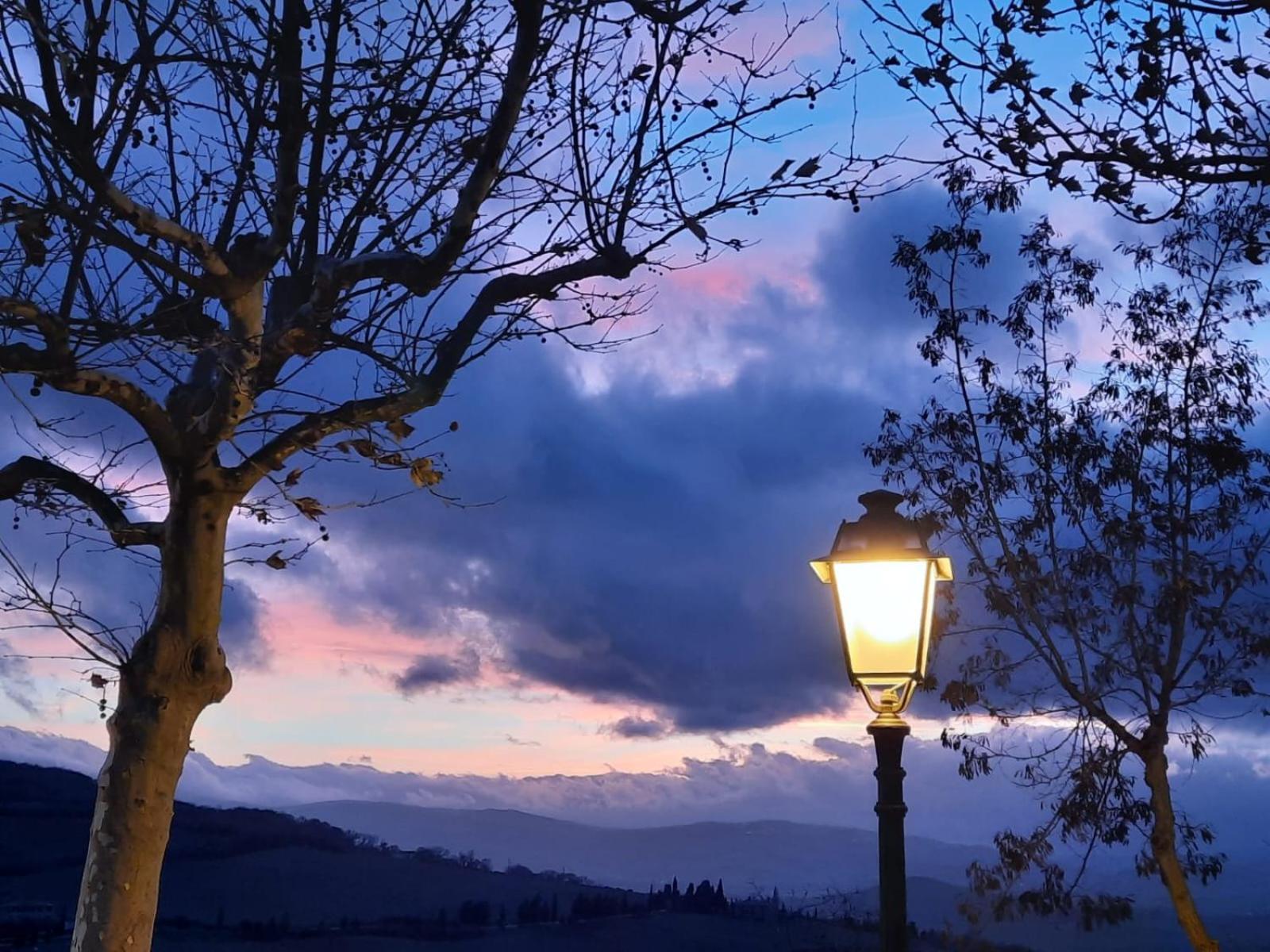 Al Piccolo Ulivo, A Casa Di Mimo&Se Villa Castiglione dʼOrcia Exteriör bild
