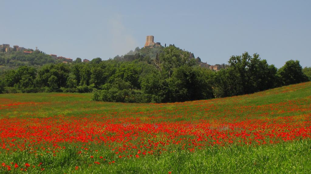 Al Piccolo Ulivo, A Casa Di Mimo&Se Villa Castiglione dʼOrcia Exteriör bild