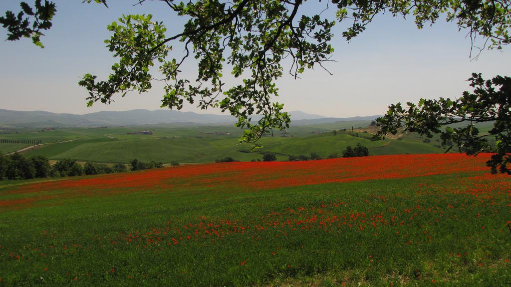 Al Piccolo Ulivo, A Casa Di Mimo&Se Villa Castiglione dʼOrcia Exteriör bild
