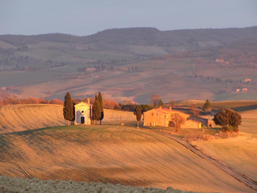 Al Piccolo Ulivo, A Casa Di Mimo&Se Villa Castiglione dʼOrcia Exteriör bild