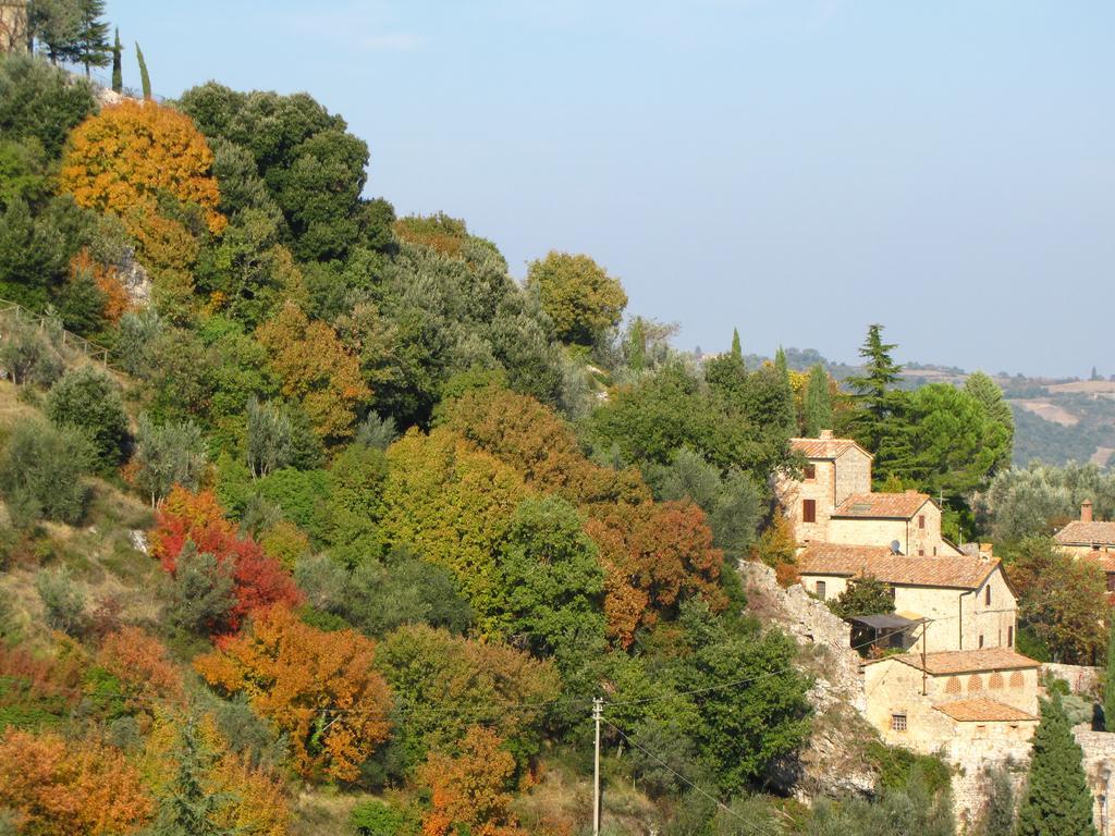 Al Piccolo Ulivo, A Casa Di Mimo&Se Villa Castiglione dʼOrcia Exteriör bild
